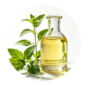 Herbal oil​
