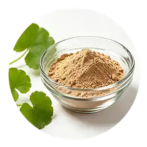 Herbal extract supplier​