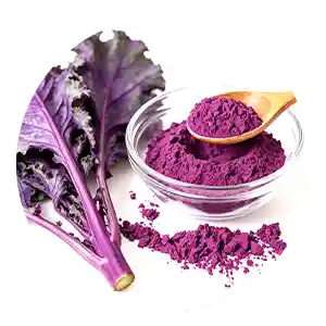 Animal essentials plant enzymes & probiotics​