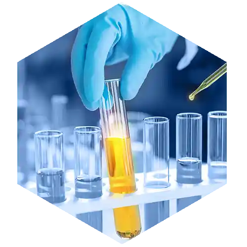 Plant based enzymes​