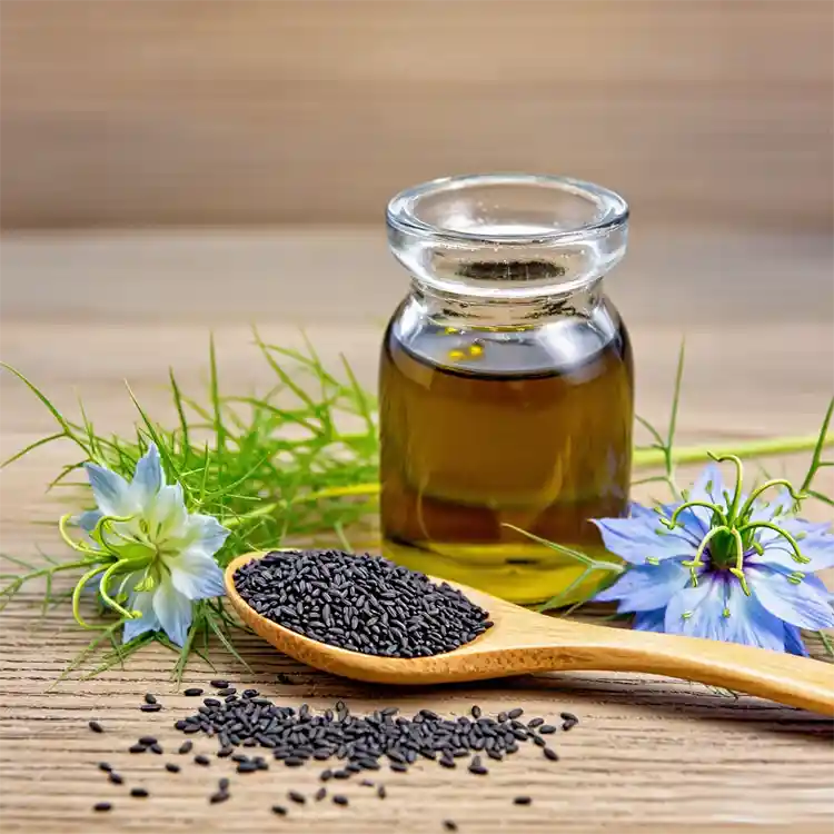Black cumin seed oil where to buy​