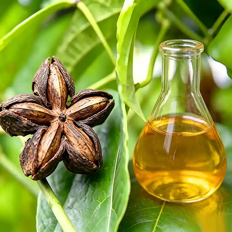 Organic sacha inchi oil​