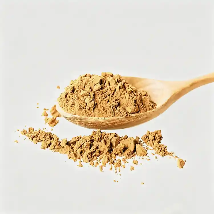 Sophora japonica extract powder​