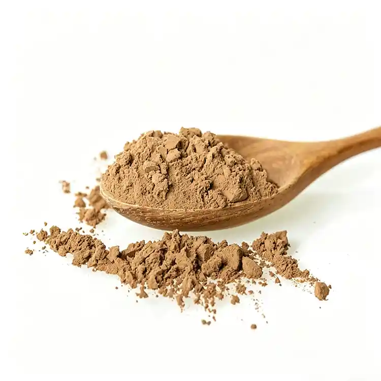 Bacopa monnieri extract powder​