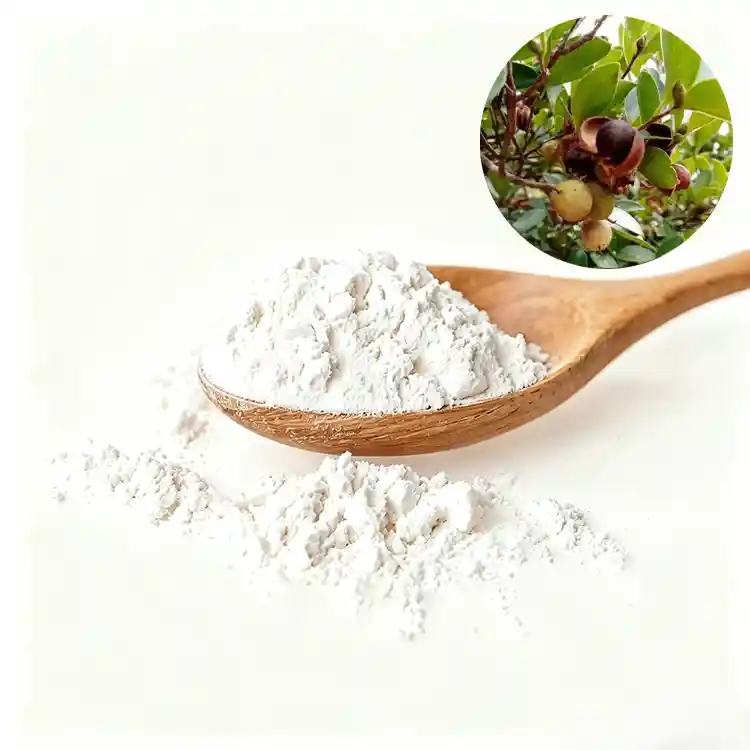 Microencapsulated camellia seed DAG oil powder