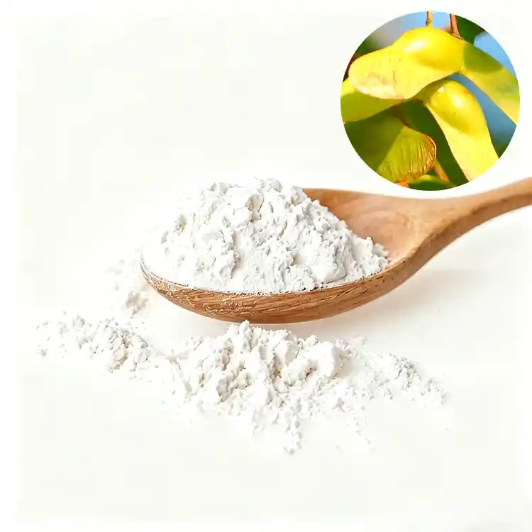 Pure acer truncatum seed oil microcapsule powder, natural maple seed oil microencapsulated fine powder